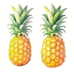 Fototapeta premium Two Watercolor Pineapples with Green Spiky Crowns and Textured Rinds