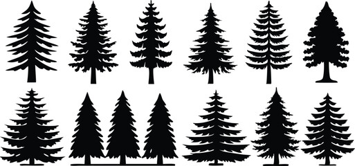 Set of Pine Tree Silhouettes Vector Collection,set of different tree silhouette vector,Pine tree vector silhouette,silhouette black color vector,pine tree forest silhouette,illustration,Ai