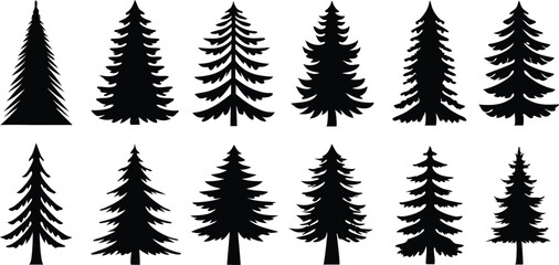 Set of Pine Tree Silhouettes Vector Collection,set of different tree silhouette vector,Pine tree vector silhouette,silhouette black color vector,pine tree forest silhouette,illustration,Ai