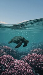Underwater turtle in coral reef