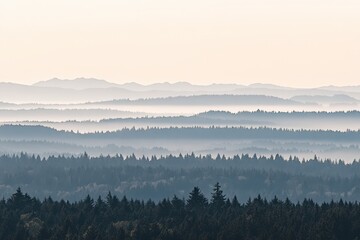 Misty mountain ranges, tranquil forest vista.  Layers of fog-shrouded hills