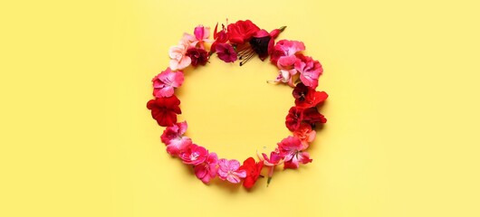 Frame made of beautiful flowers on yellow background