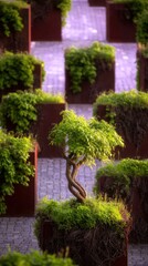 Urban garden with box planters