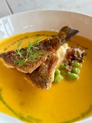 Grilled fish with creamy sauce