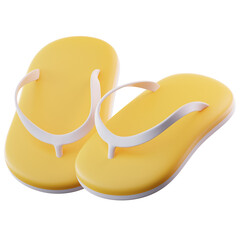 3D Illustration Flip Flops
