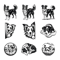 Border Collie dog svg