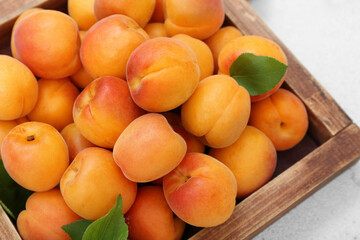 Wooden box with fresh apricots and leaves on white background
