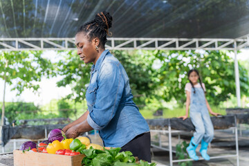Happy black farmer mother and daughter on vegetable farm for agriculture, business growth and...