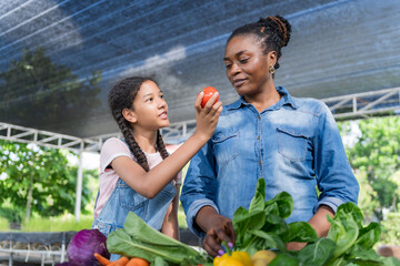 Happy black farmer mother and daughter on vegetable farm for agriculture, business growth and...