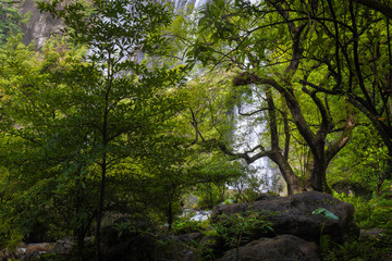 
Khlong Lan Waterfall is one of the most beautiful and grand waterfalls in Thailand. Below it is a large pool where you can swim. It is located in Khlong Lan National Park, Kamphaeng Phet