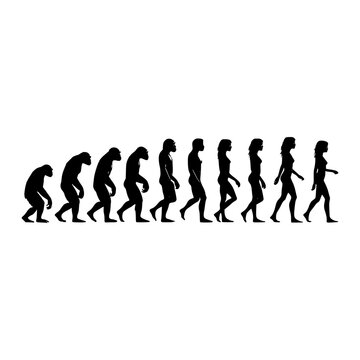 Human evolution stages silhouettes illustration