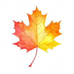 Obraz premium Vibrant autumn leaf showcasing shades of red and yellow. cut out. transparent background