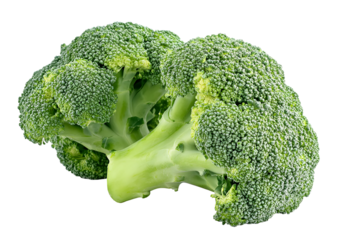 Close-up of a fresh green broccoli floret isolated on a black background