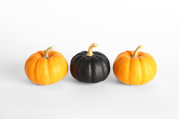 Painted pumpkins on white background