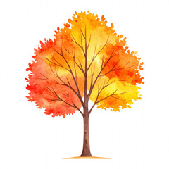 A vibrant tree with autumn leaves in shades of red and yellow, showcasing its intricate branches and foliage. cut out. transparent background