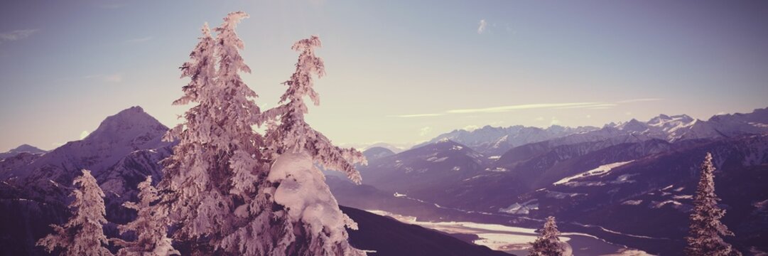 Fototapeta Snowcapped and forest during winter