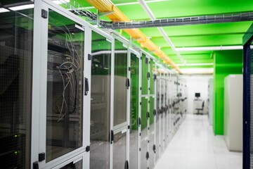 Server cabinets with network switches and cables are being shown in flat design data center aisle