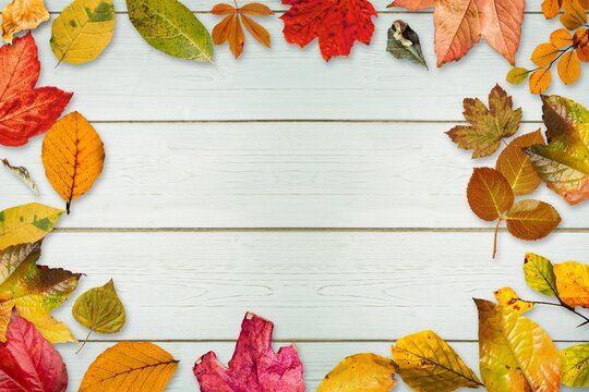 Fototapeta Autumn leaves fallen on wooden background