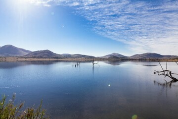 flat illustration is showing calm lake reflecting dead tree stumps, with reeds hills and lens flare