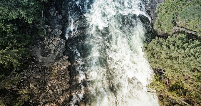 Fototapeta Flat design is showing whitewater rapids rushing through rocky channel amid conifers in aerial view