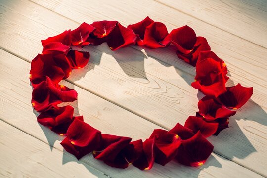 Fototapeta Circular shape frame made from rose petals
