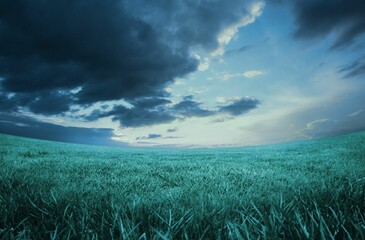 Blue sky over green field