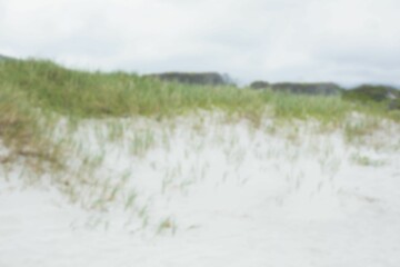 Scenic view of sand at beach