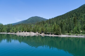 Forest on mountain by river against blue sky