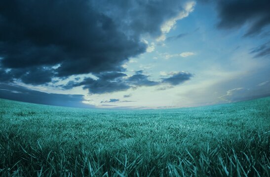 Fototapeta Blue sky over green field
