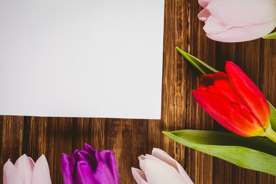Fototapeta Blank white sheet is lying on dark brown wooden table in flat design, featuring tulip border
