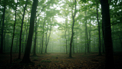 Fototapeta premium Failed to generate title