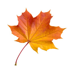 Autumn leave, Generated image