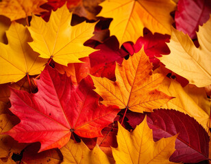 Fototapeta premium Autumn leave, Generated image