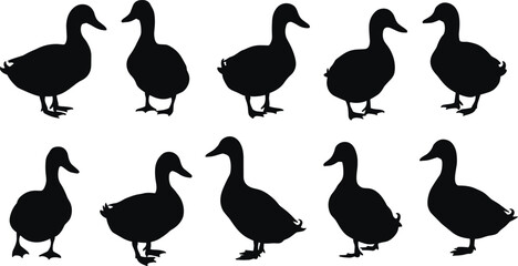 Set of duck silhouettes in standing pose, vector black duck icons collection, domestic bird graphic clipart for farm, nature, wildlife, and animal illustration design
