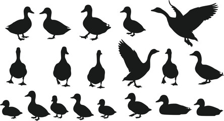 Set of duck and duckling silhouette vectors, black duck icon illustrations, flying and standing ducks clipart for wildlife, nature, and farm-themed design usage