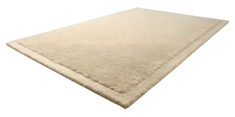 beige plush area rug high pile texture