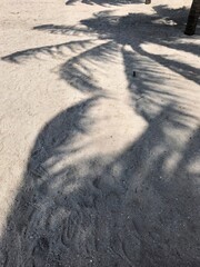 Palm tree shadows cast on tropical sandy beach