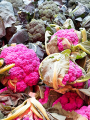 A large pile of purple cauliflower and broccoli close up.