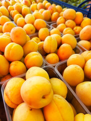 Close-up of ripe orange apricots packed in plastic containers.