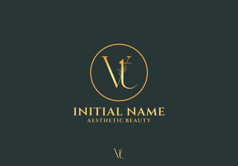 Letter Vt Beauty Logo with Flourish Ornament Luxury	