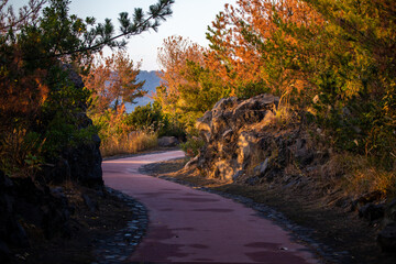 Seaside hiking trail at Sakurajima in Kagoshima Prefecture, Japan