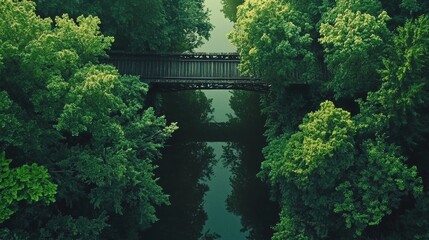 Tranquil wooden bridge in lush green forest over calm river