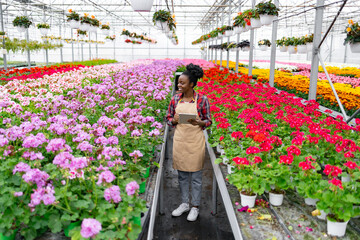 An African American woman surveys vibrant rows of colorful flowers in a greenhouse. She holds a tablet, likely assessing plant health or inventory.