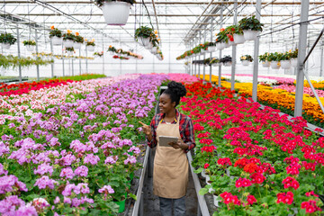 An African-American woman examines rows of colorful flowers in a vibrant greenhouse, pointing at some of them.