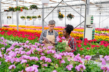 Diverse horticulturalists examine data on a tablet amidst a vibrant greenhouse filled with colorful flowers.