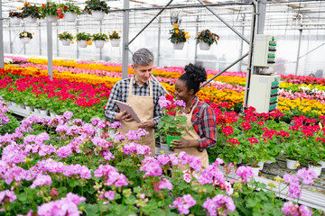 Two diverse greenhouse workers discussing a potted plant, surrounded by vibrant flowers of various colors.
