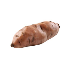 Single Raw Sweet Potato Isolated on Black Background