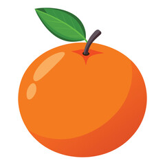 Sliced orange with texture