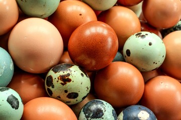different types of eggs - food background