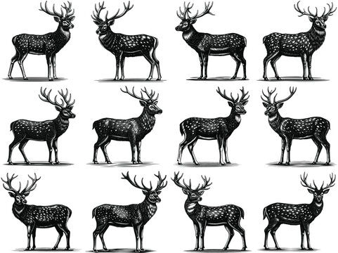 Deer black silhouette vector illustration detailed of axis deer free collection